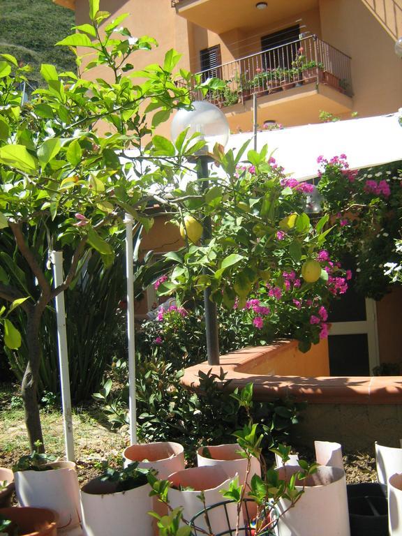 Terrazza Mimosa Apartment Cefalu Ngoại thất bức ảnh