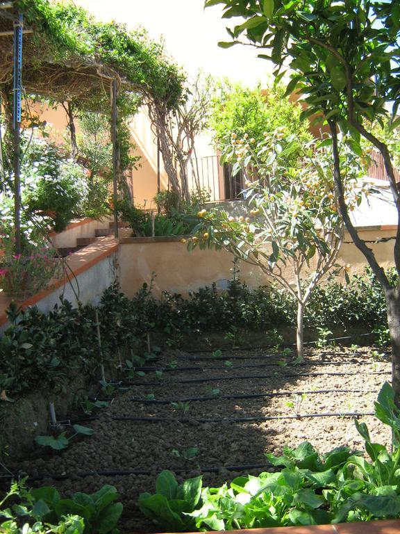 Terrazza Mimosa Apartment Cefalu Ngoại thất bức ảnh